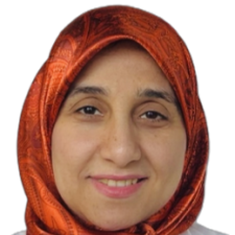 Hebaallaha Hussein
