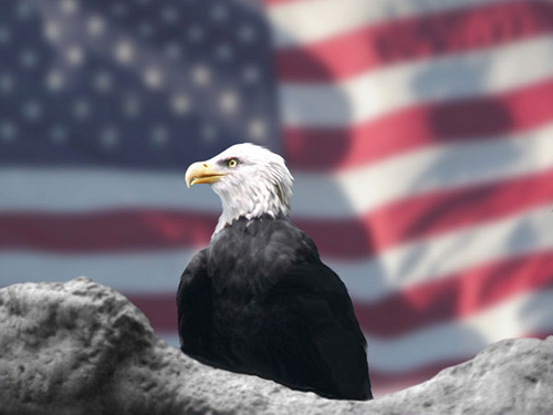 eagle in front of American flag