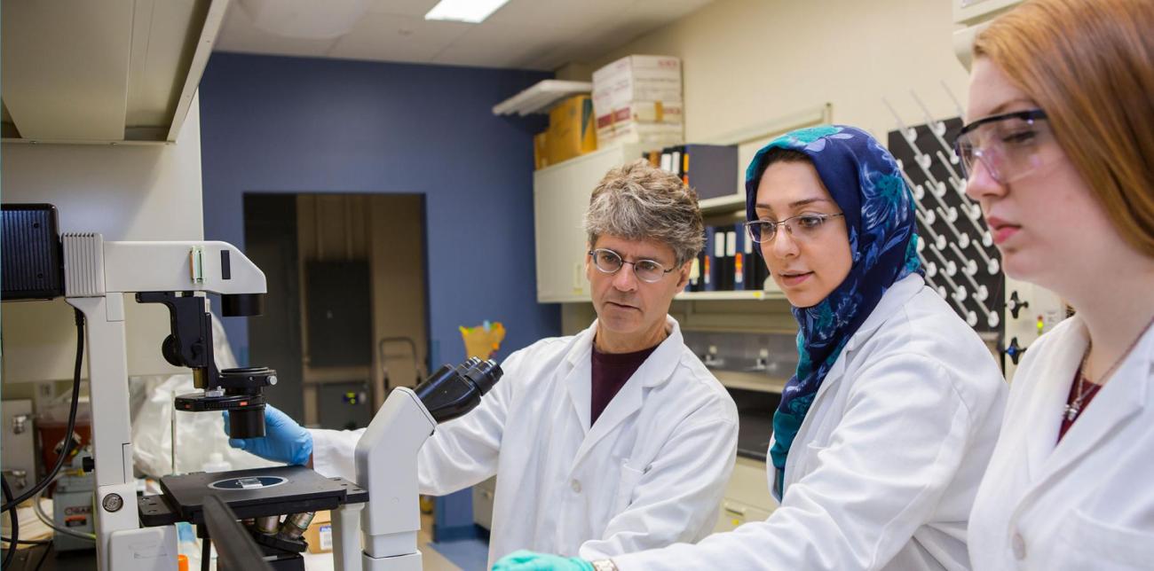 Chemical engineers around a microscope