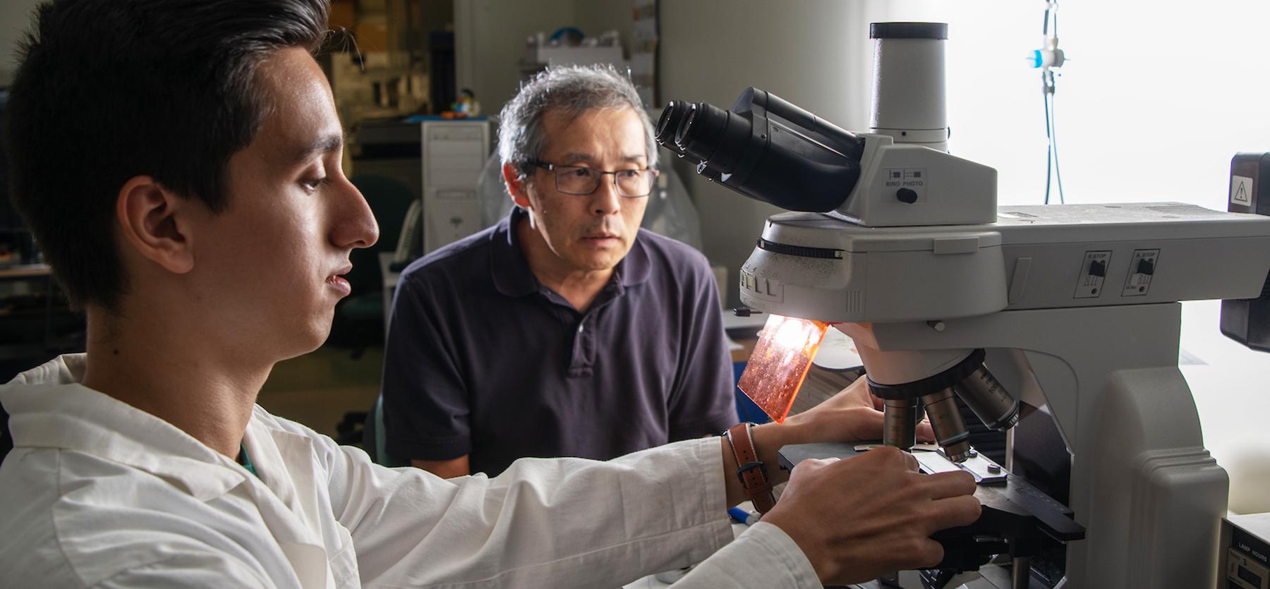 A student and professor examine something under a microscope.