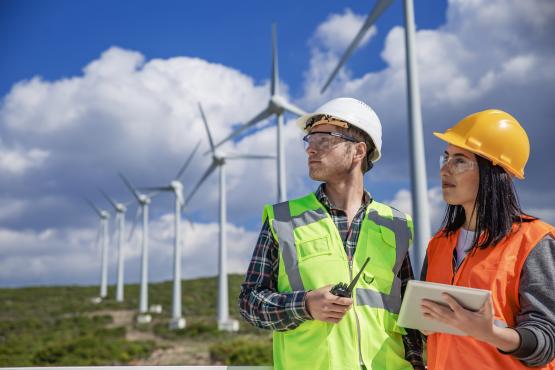 two workers standing near a field of wind turbines.
