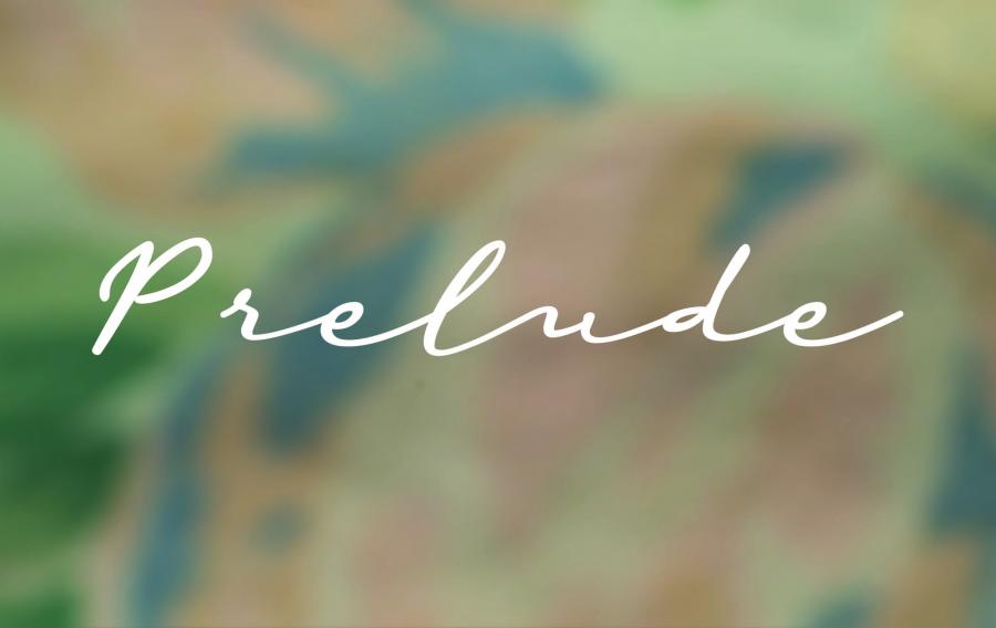First year MFA students present "Prelude" - Vimarsana News