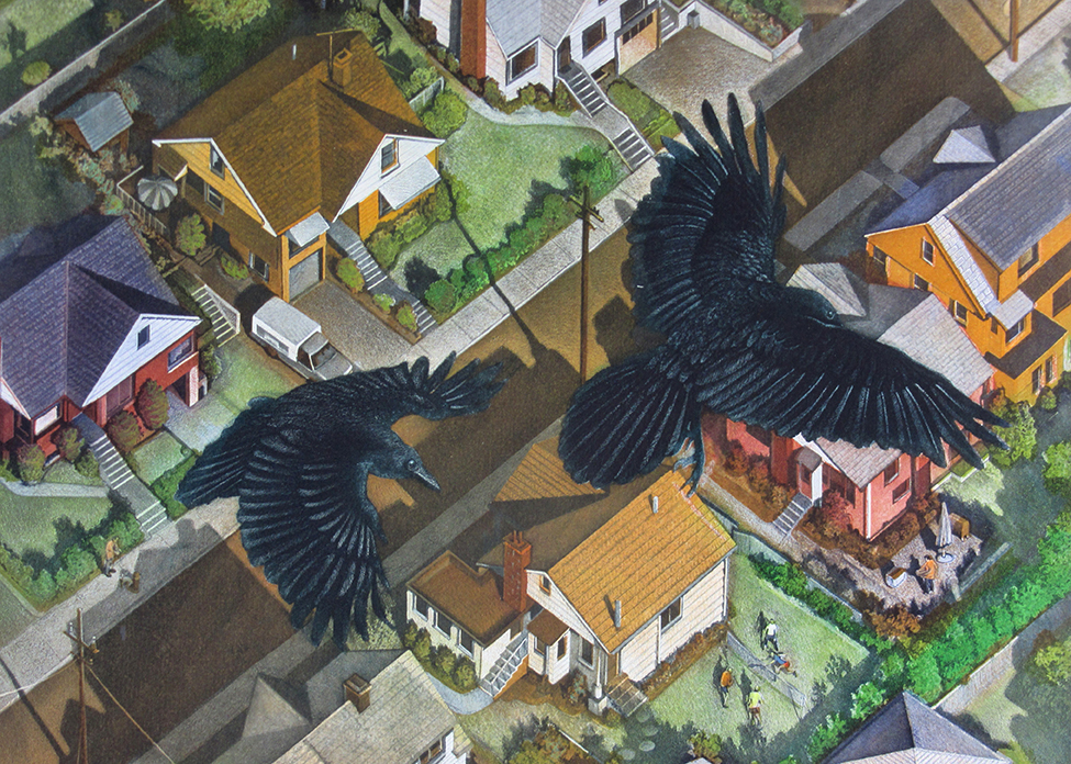 Top view of birds flying over houses