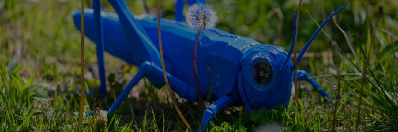 A blue cricket made for an art-plant biology collaboration
