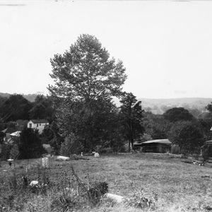 Athens Westside Neighborhood