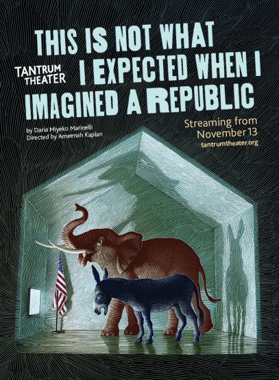 This Is Not What I Expected When I Imagined a Republic Poster