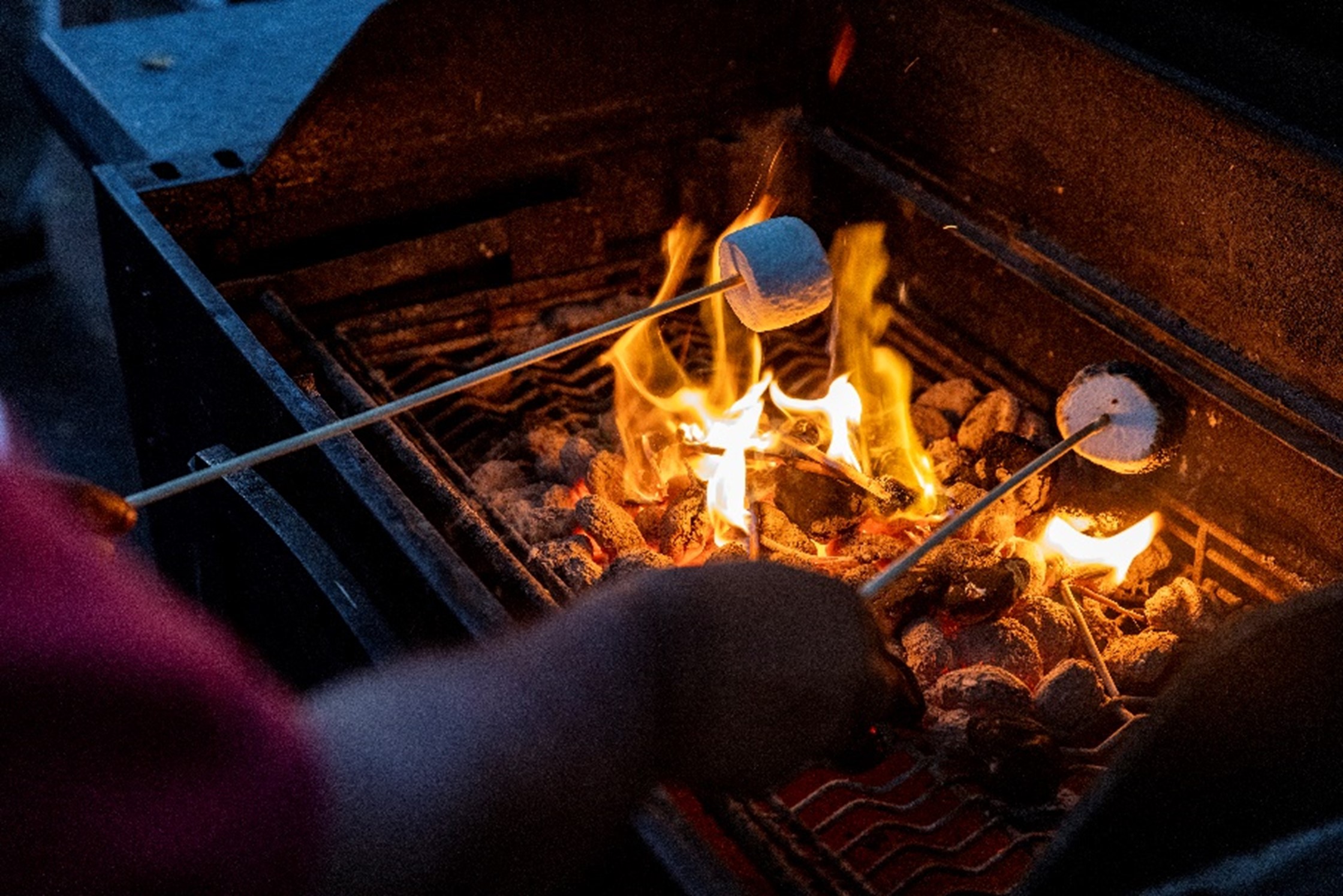 Picture to two marshmallows being toasted over a grill