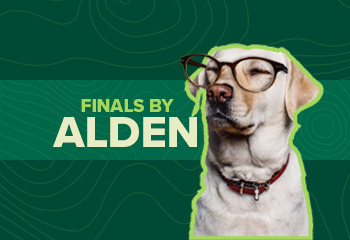 Finals by Alden text on a graphic with a Labrador retriever wearing glasses