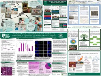 Collage of the 6 winning posters for the Library Awards, 2026 Student Expo