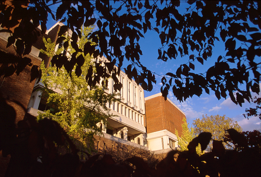 a view of Alden Library from under a shade tree