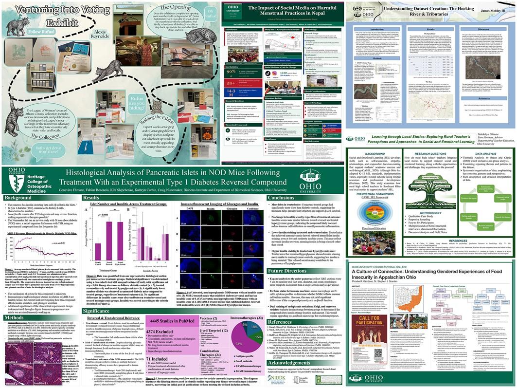 Collage of Posters for 2026 Student Expo Library Awardees