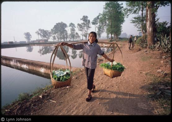 Guo Yuxian carries produce, balanced in baskets on a pole across her shoulders