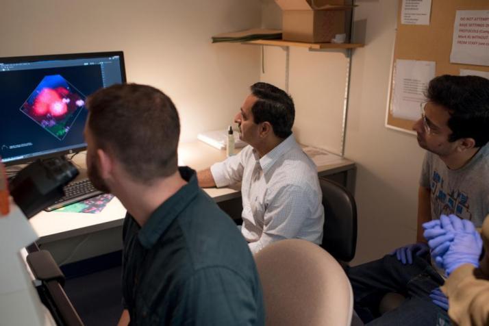 Vishu Puri, center, looks over some computer images in his lab.