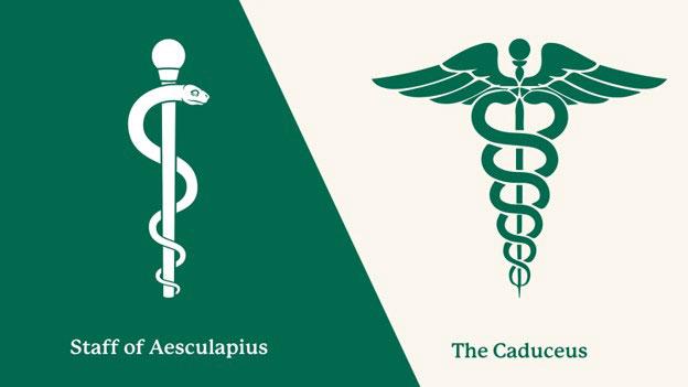  Graphic comparing the Staff of Aesculapius on the left, showing a single serpent wrapped around a staff, with the winged caduceus on the right, displaying two intertwined serpents.