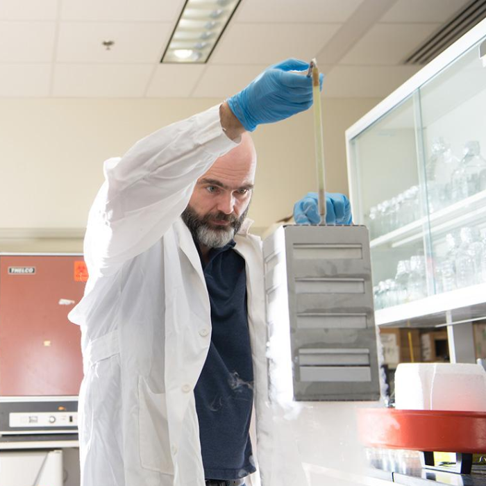 Ronan Carroll lab