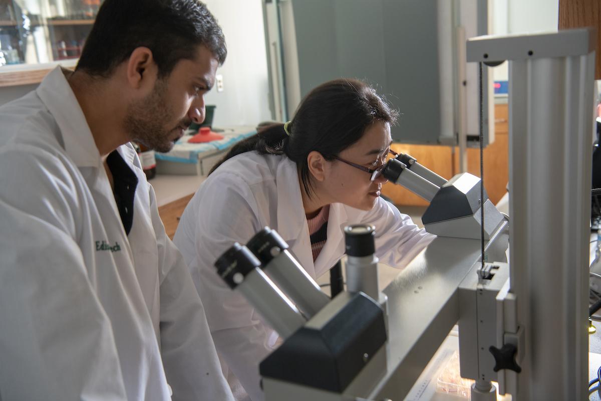 Researchers with microscopes