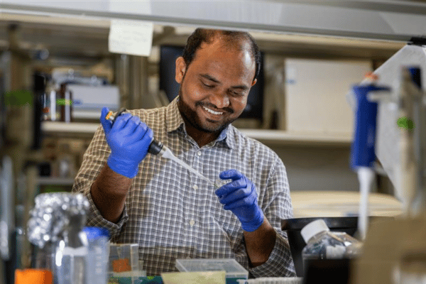 Post-doctoral researcher working in lab