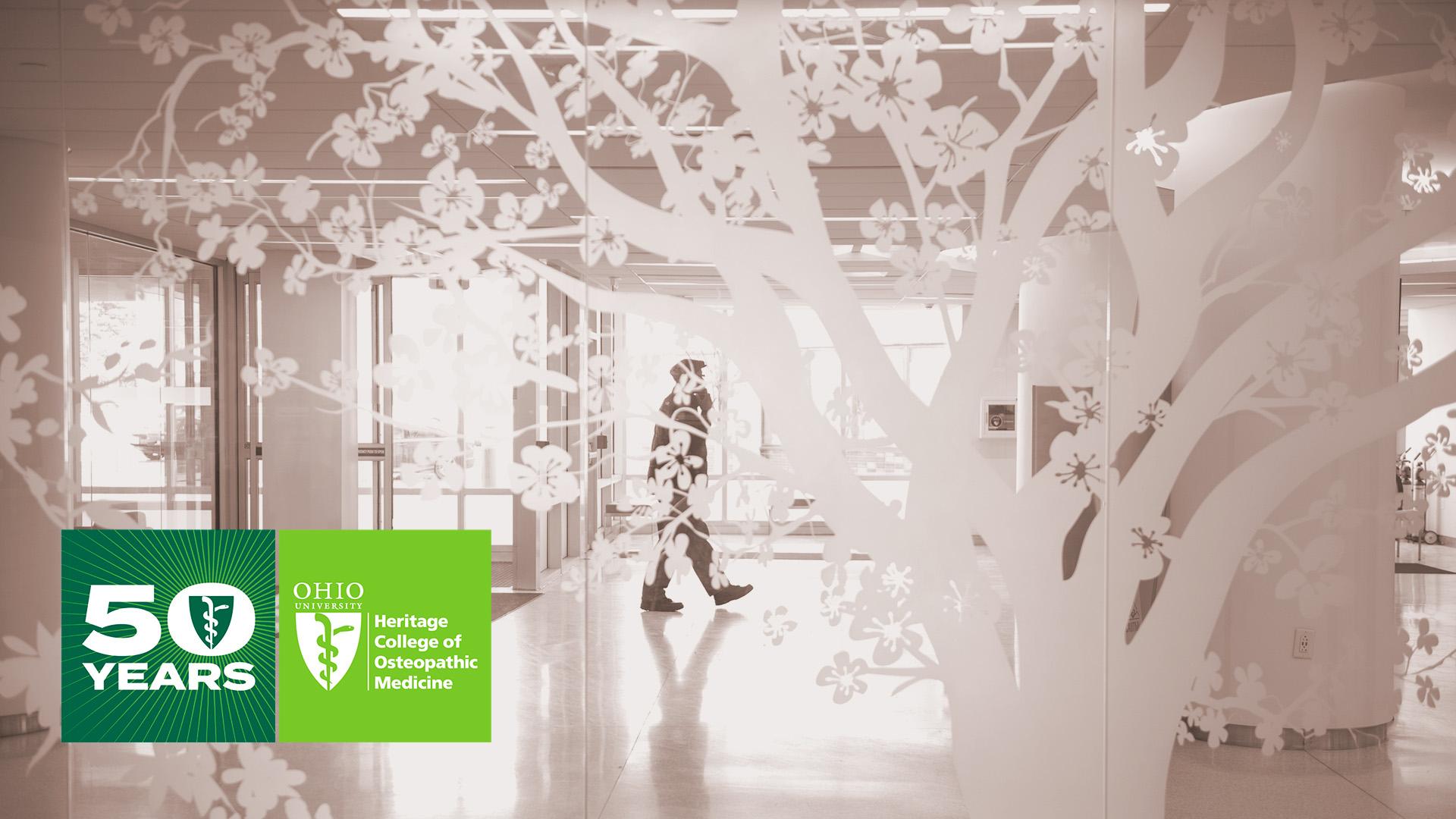 50th Anniversary Teams Background