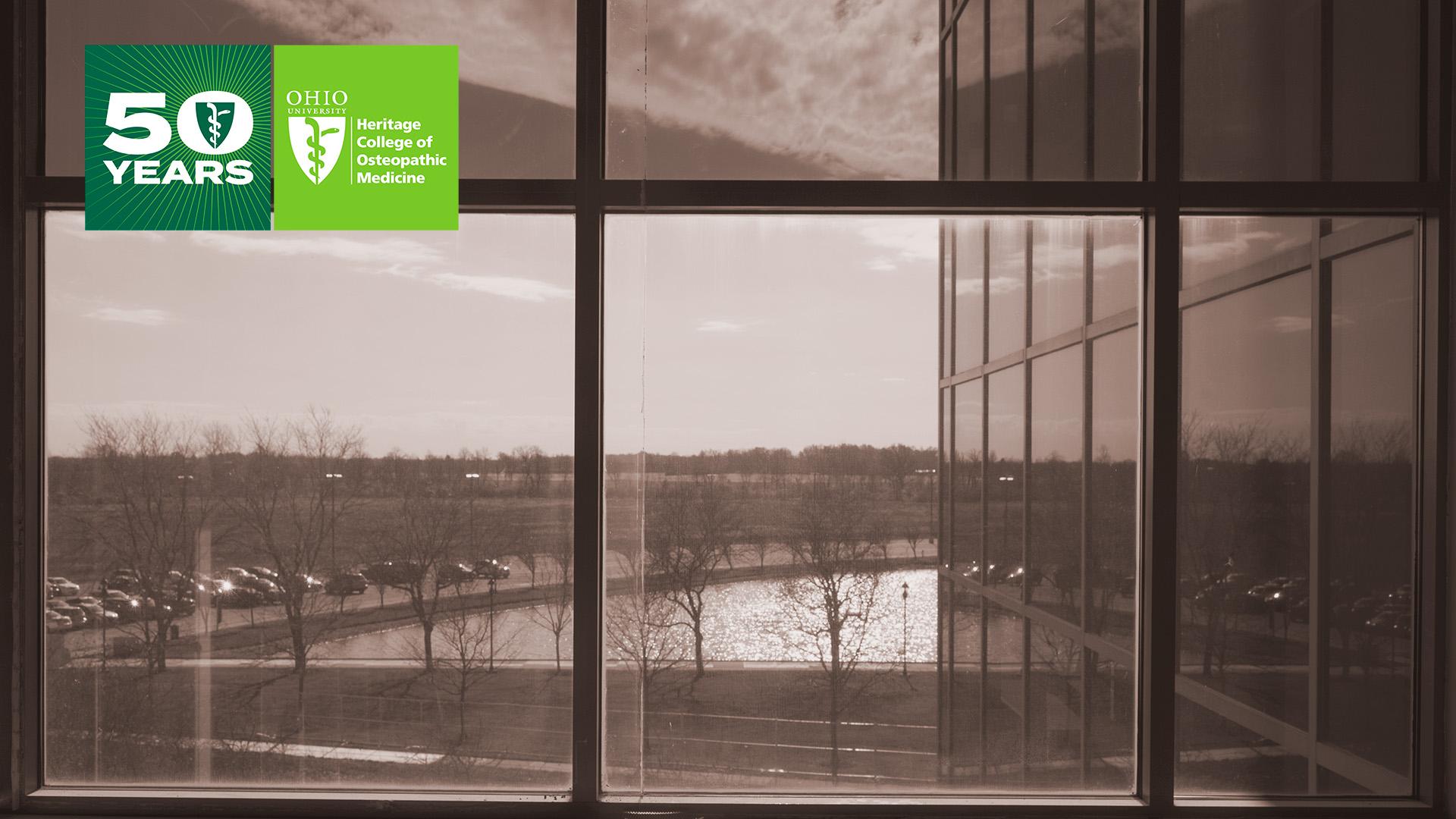 50th Anniversary Teams Background