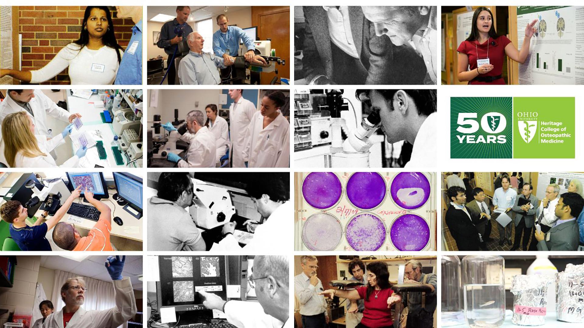 50th Anniversary Teams Background