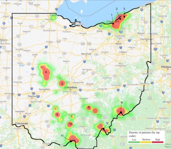 Heat map of the state of Ohio showing the distribution of patients seen by LIC students.