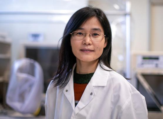 Shaohua Wang, Ph.D., assistant professor of medical microbiology