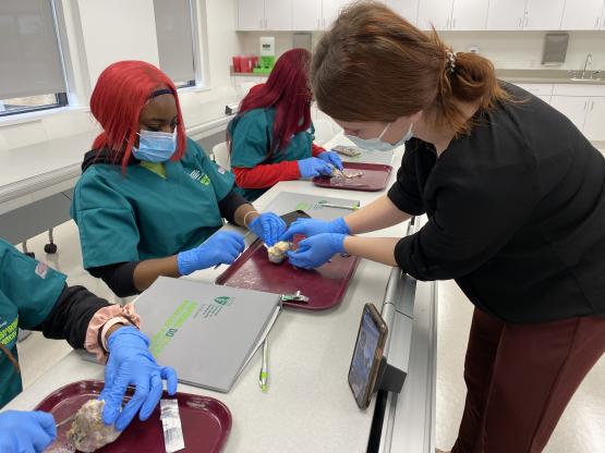 Three students get instructions for a dissection during the Aspiring Doctors program