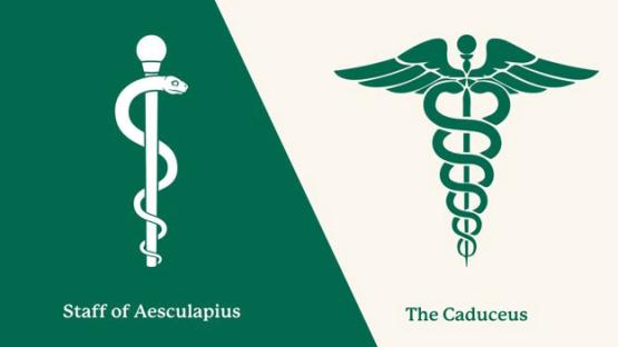  Graphic comparing the Staff of Aesculapius on the left, showing a single serpent wrapped around a staff, with the winged caduceus on the right, displaying two intertwined serpents.