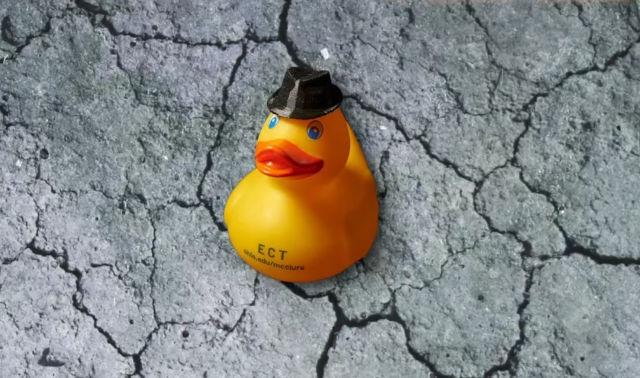 ECT duck is wearing a special hat in honor of Dr. Kruse