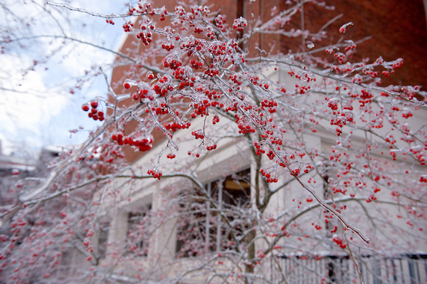 Ohio University - Campus in the Winter