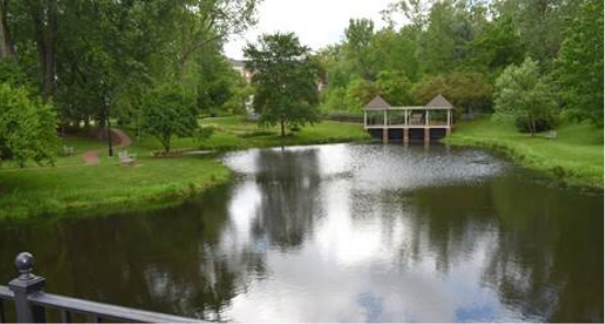 Pond at Emeriti Park