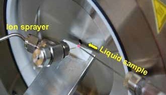 Ion sprayer and liquid sample