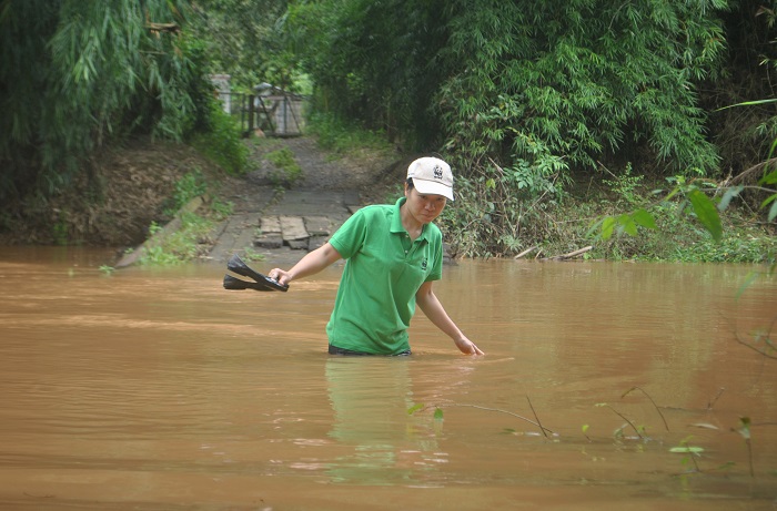 A person wading in a river
