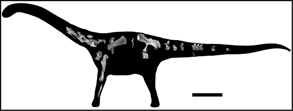 A silhouette of a Rukwatitan dinosaur.