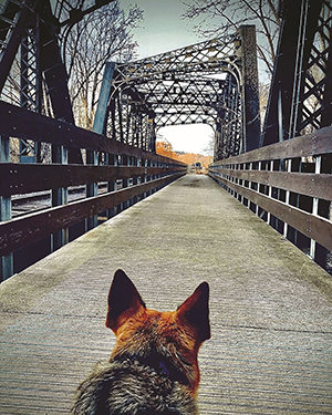 A Walk Across the Bridge