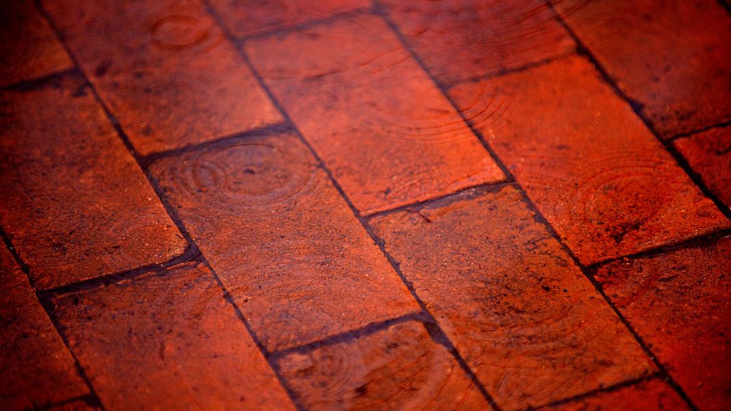 closeup of red bricks