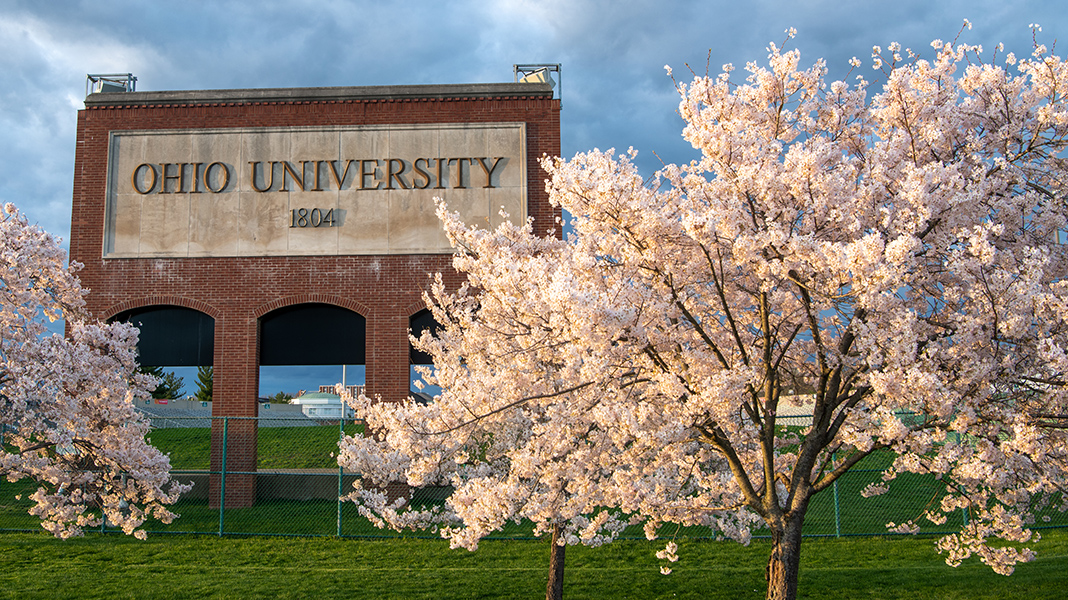 Ohio University sign framed by blooming cherry blossom trees