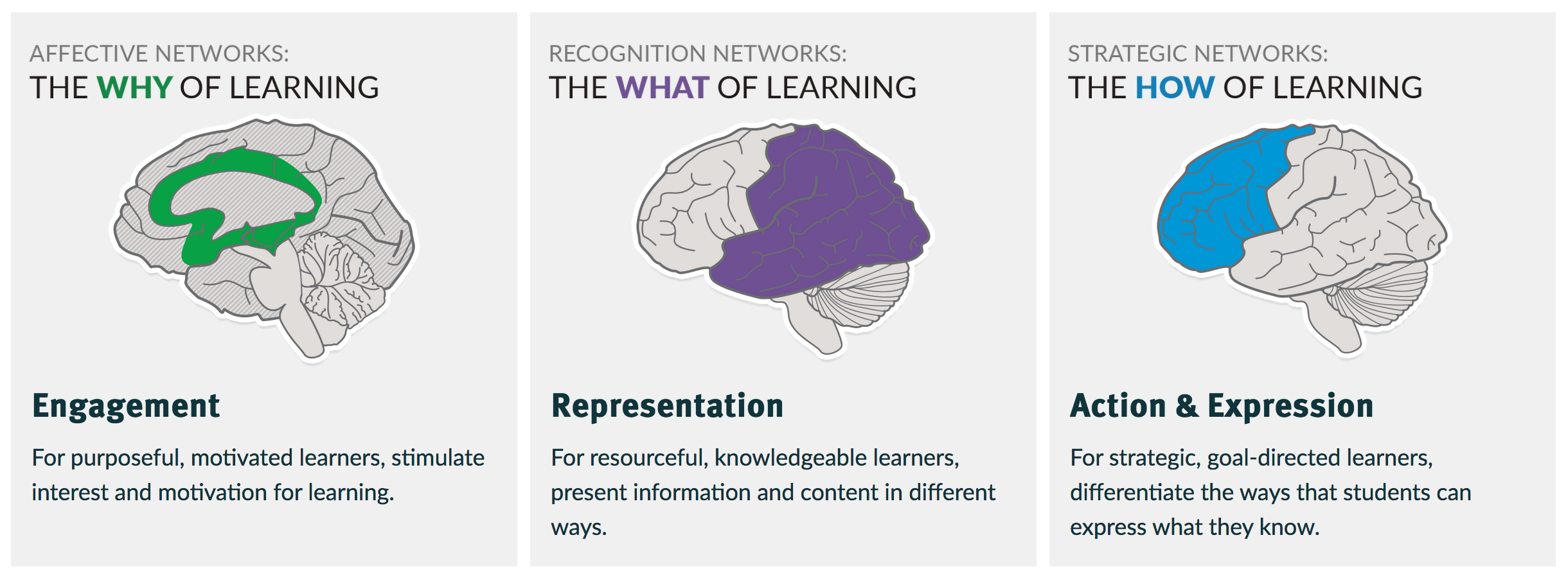 Illustration of the three main pillars of UDL from www.cast.org