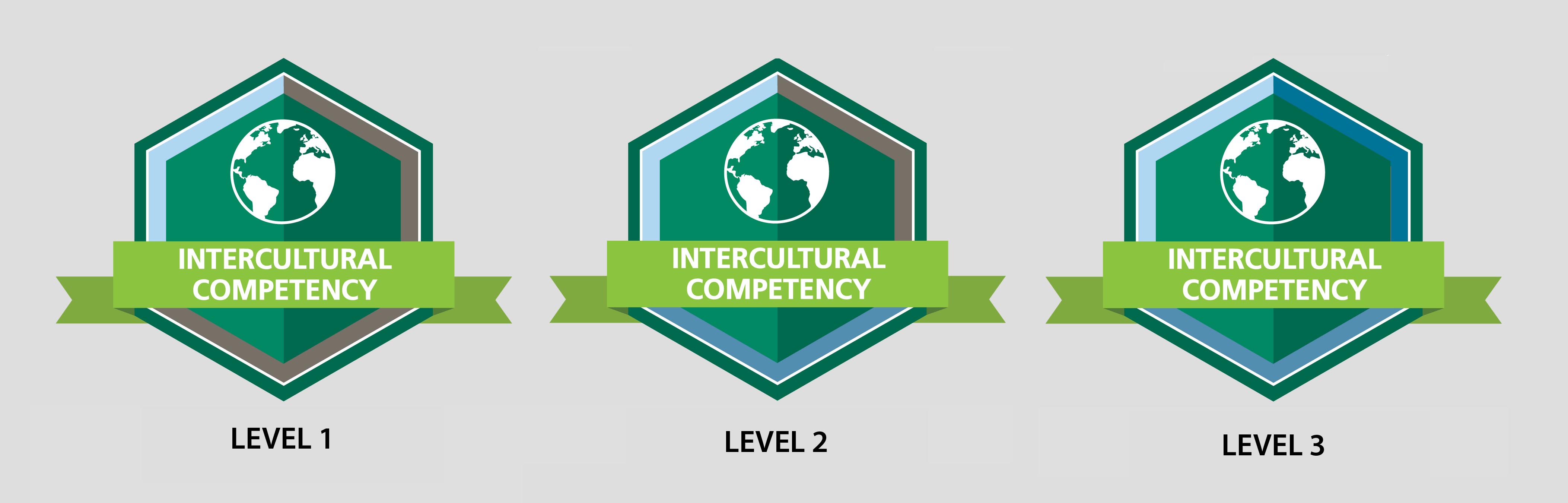 Illustration of the three levels of the microcredential students complete.