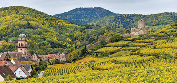Vineyards outside Kayersburg, France
