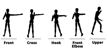 Movement Library | Ohio University