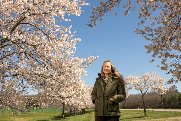 Alumna and landscape coordinator Susan Calhoun tends Ohio University’s cherry trees with love