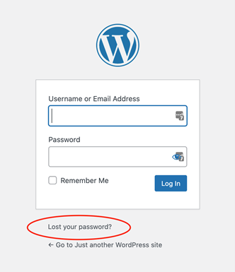 Wordpress lost your password circled in red