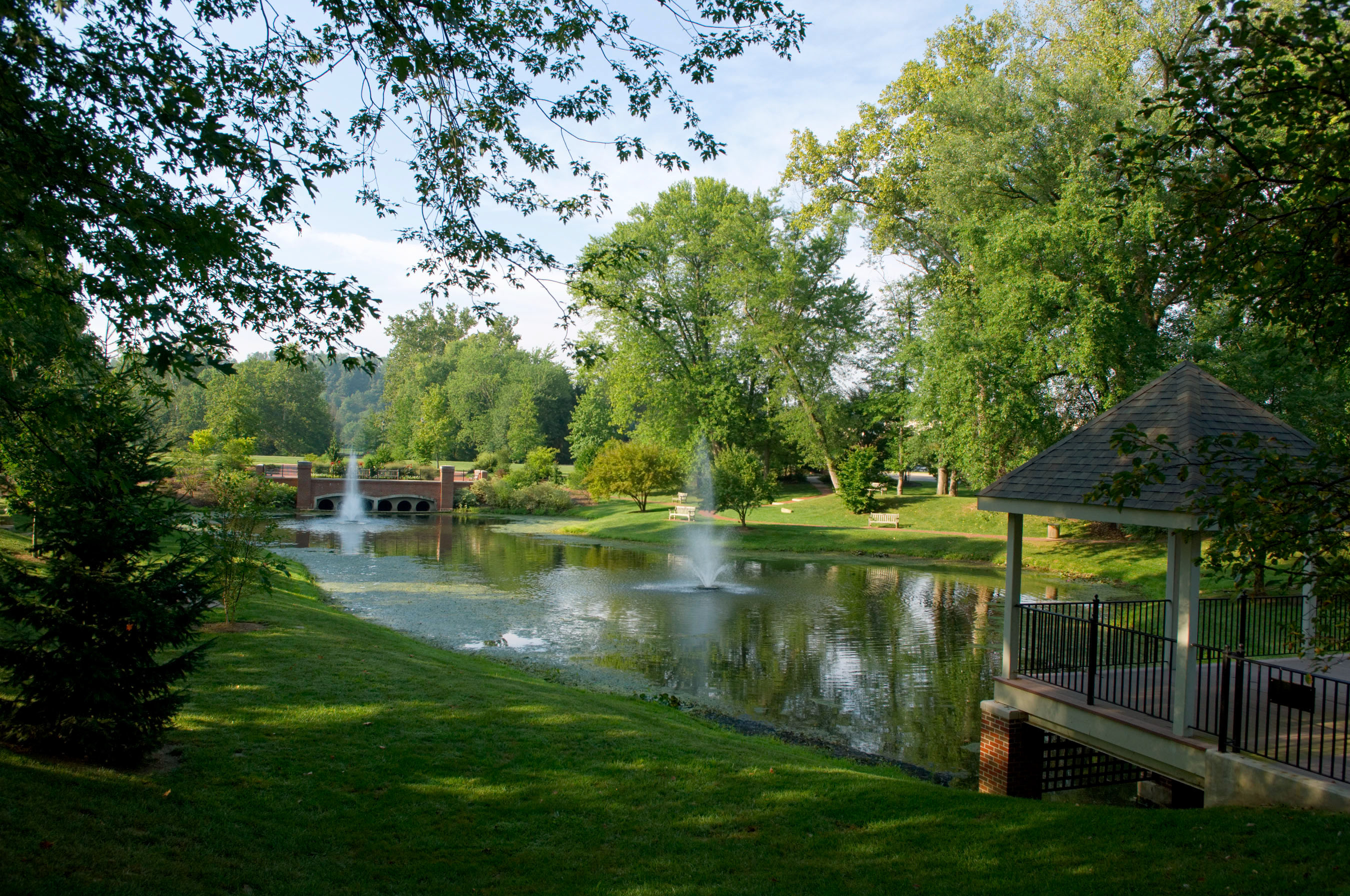 Emeriti Park on a sunny summer day