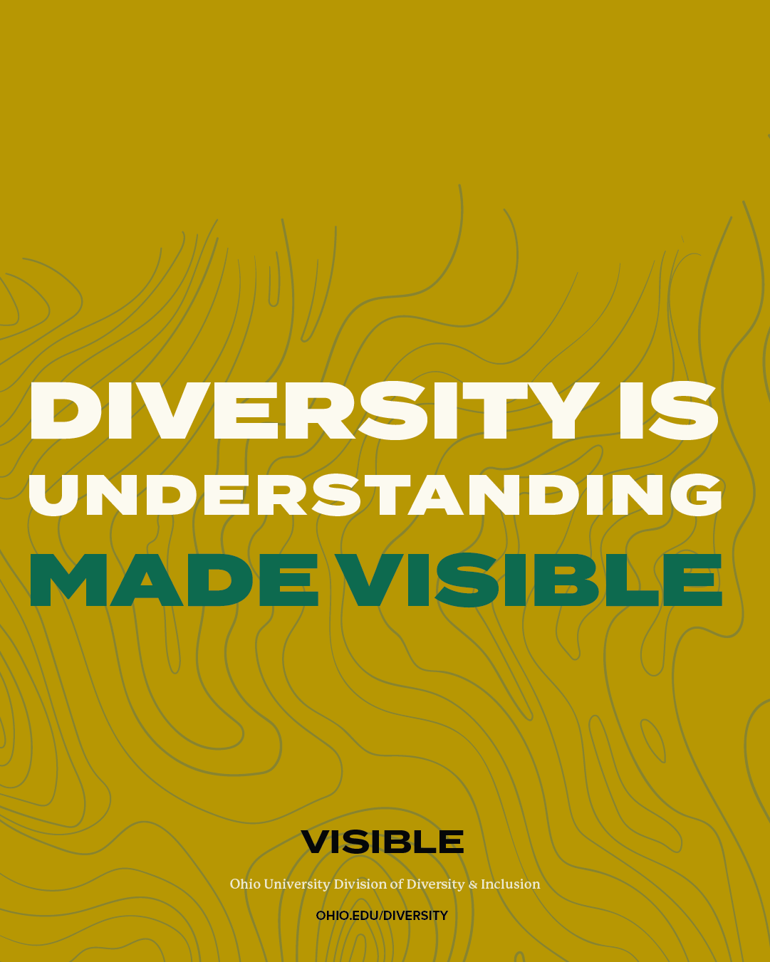 Diversity is understanding made visible.