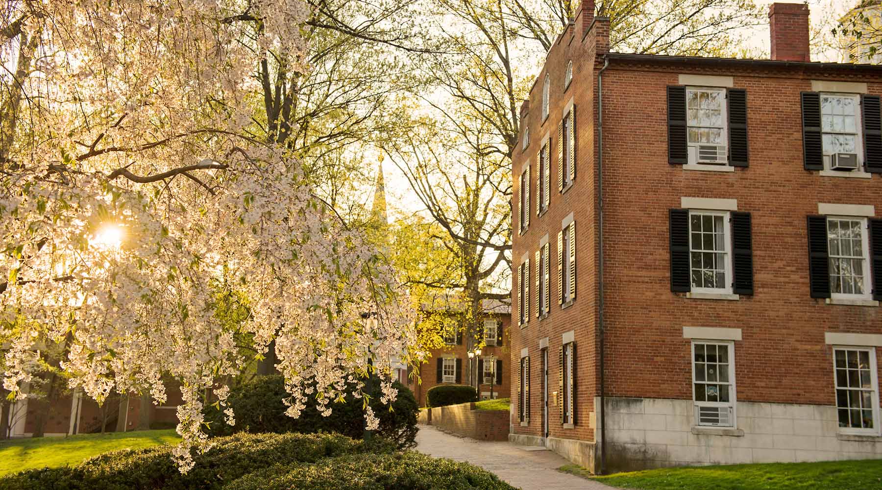 McGuffey Hall in the spring surrounded by blooming trees.