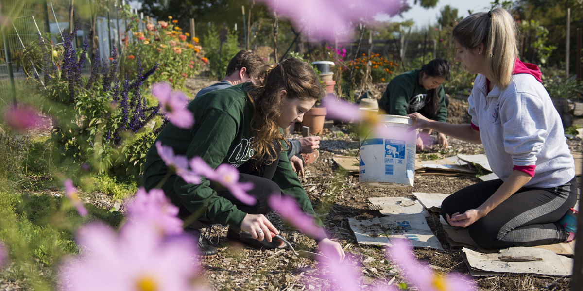 OHIO Pepsi scholars working in a garden