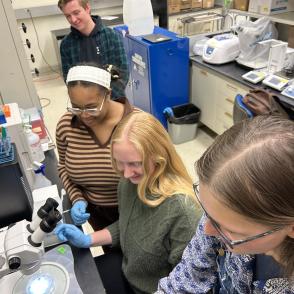Student Spaceflight Experiment Program