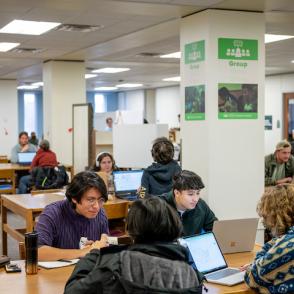 Students in Alden Library studying together