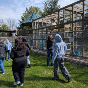 Students view primates in their enclosures